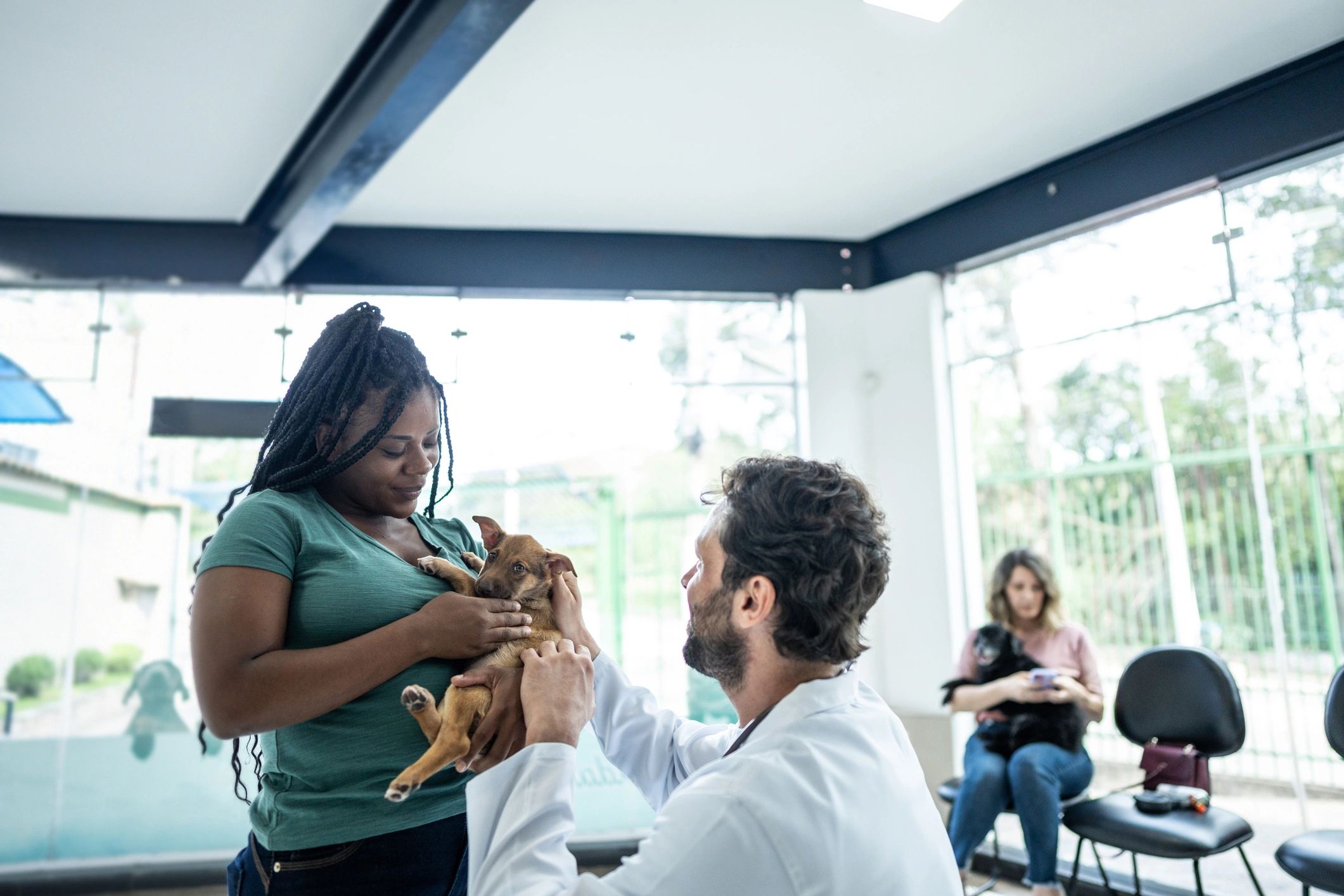 Veterinarian speaking with a pet owner and dog