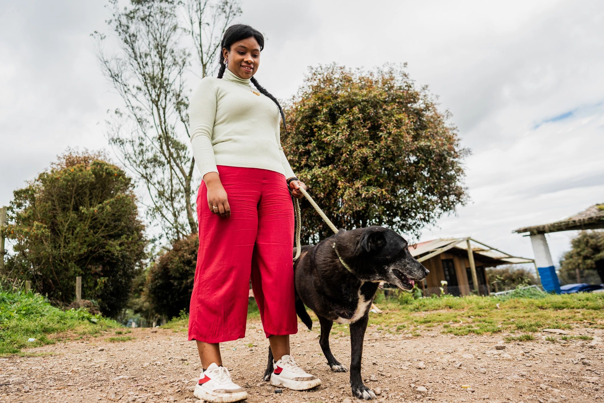 Dog walking outdoors with its owner
