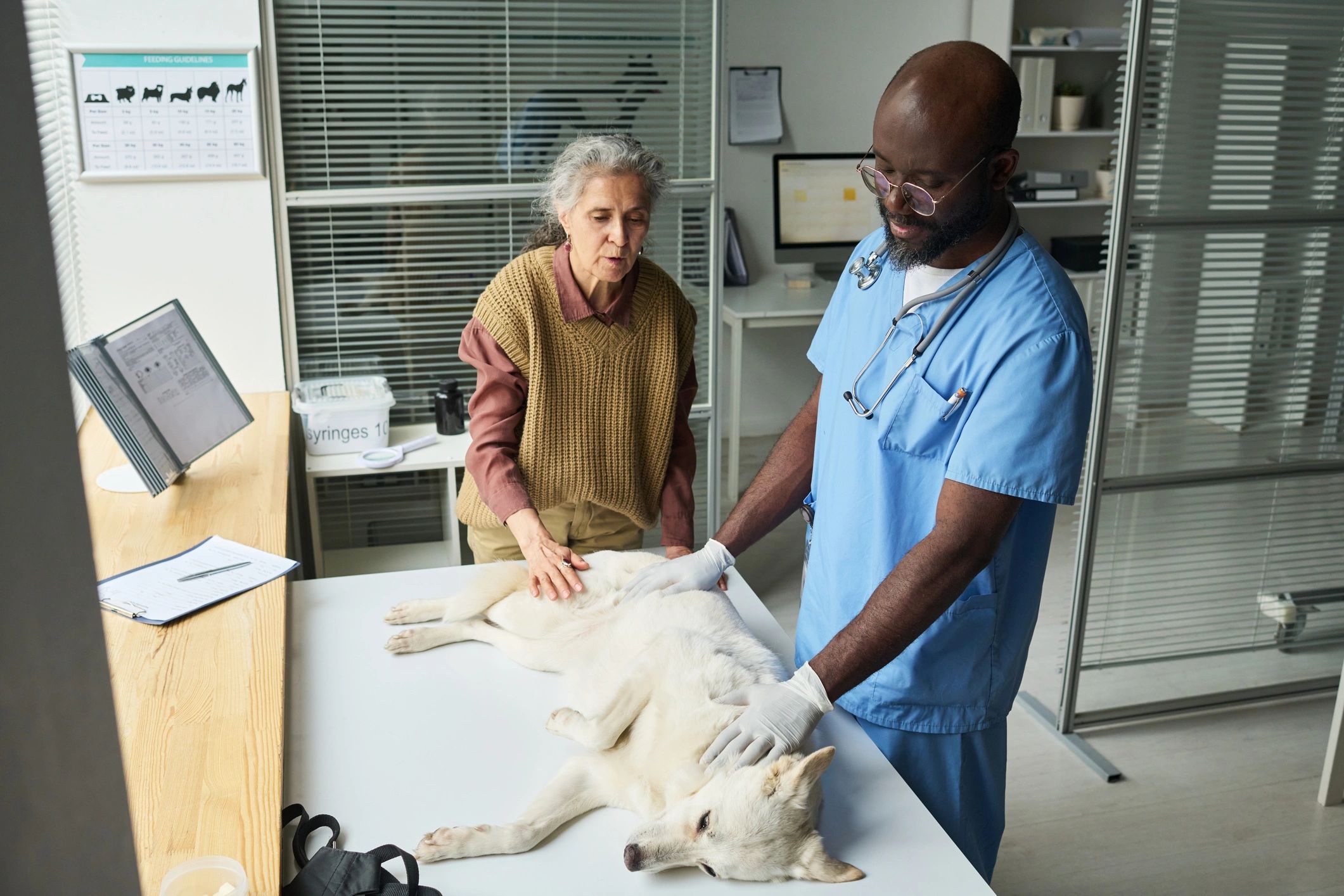 Veterinarian examining a dog with an owner