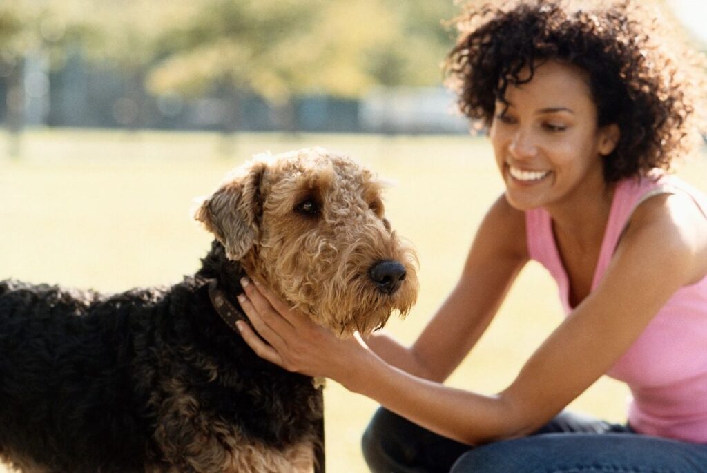 Tick Fever in Dogs: Early Signs Kenyan Pet Owners Should Know